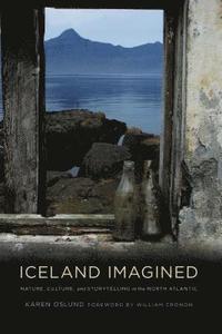 bokomslag Iceland Imagined