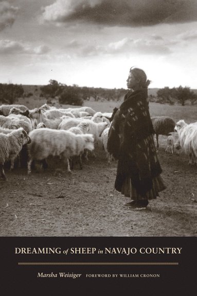 bokomslag Dreaming of Sheep in Navajo Country