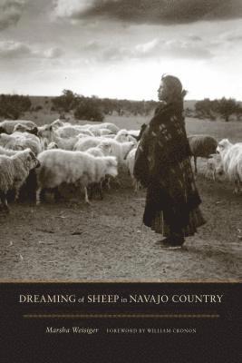 Dreaming of Sheep in Navajo Country 1