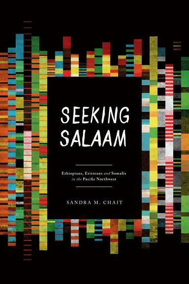 bokomslag Seeking Salaam