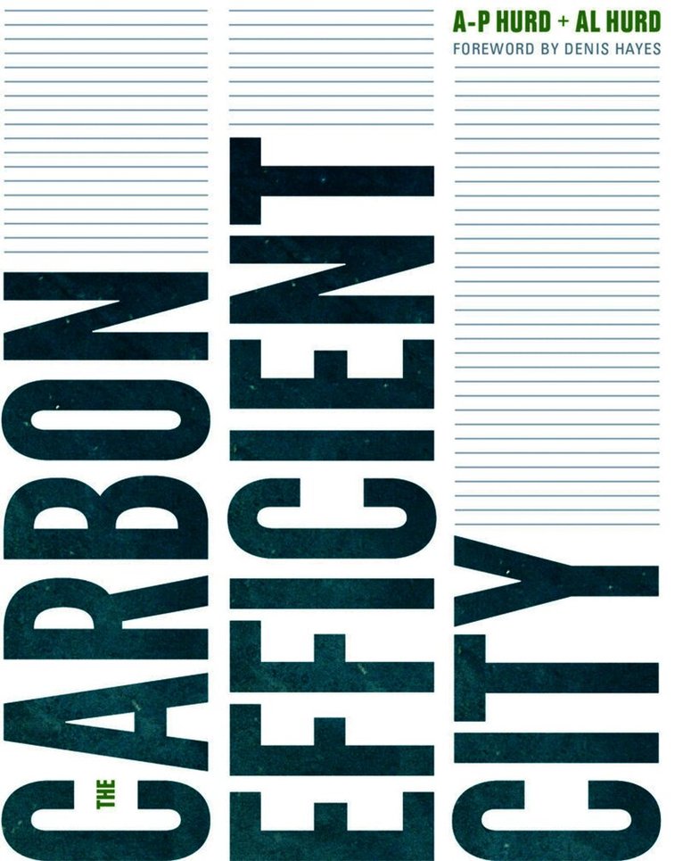 Carbon Efficient City