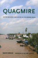 Quagmire