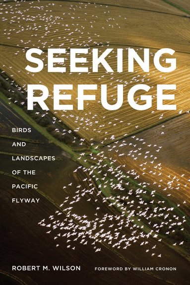 Robert M Wilson - Seeking Refuge, Häftad