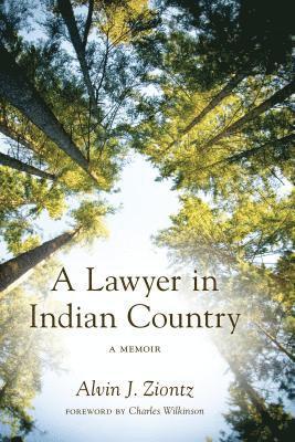 bokomslag A Lawyer in Indian Country