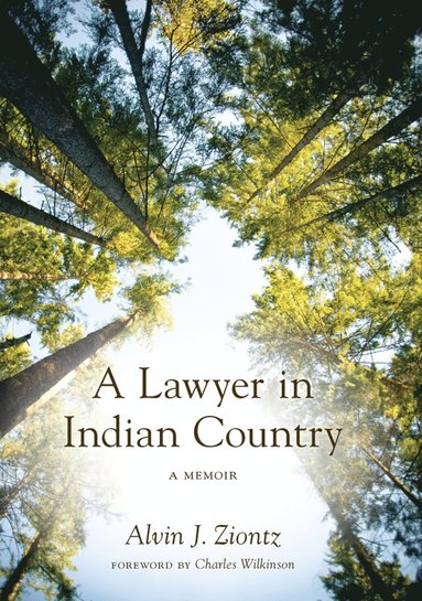 bokomslag Lawyer in Indian Country