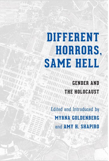 Myrna Goldenberg, Amy Shapiro - Different Horrors, Same Hell, Inbunden