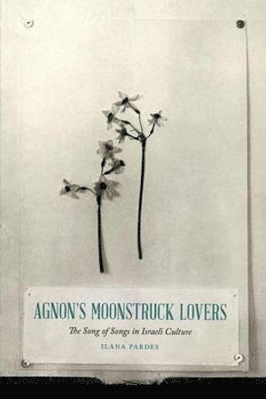 bokomslag Agnon's Moonstruck Lovers