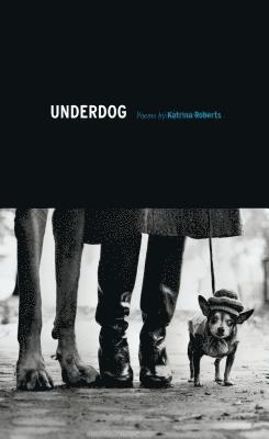 bokomslag Underdog