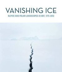 bokomslag Vanishing Ice