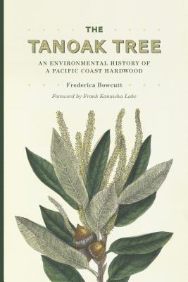 The Tanoak Tree 1