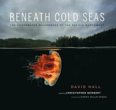 David Hall - Beneath Cold Seas, Häftad