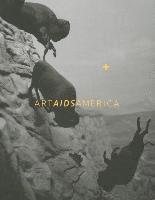 bokomslag Art AIDS America