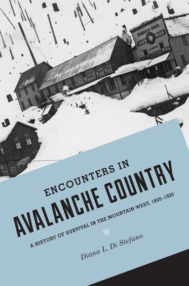 Diana L. Di Stefano - Encounters in Avalanche Country, Häftad