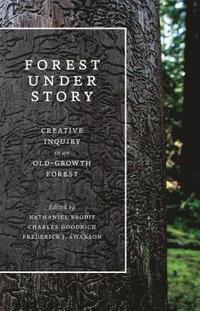 bokomslag Forest Under Story