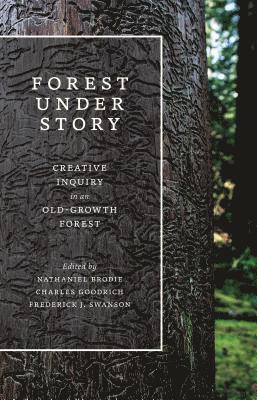 Forest Under Story 1