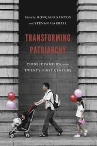 bokomslag Transforming Patriarchy