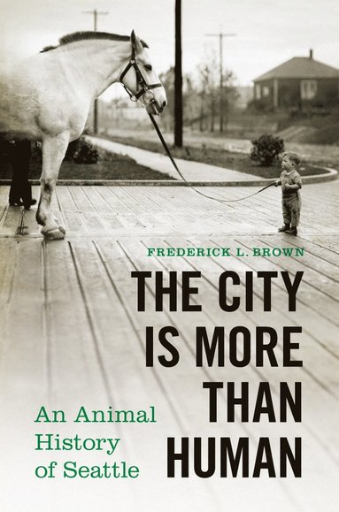 bokomslag City Is More Than Human
