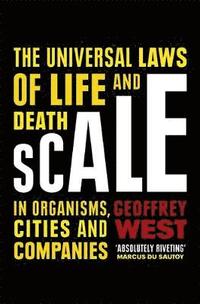 bokomslag Scale: The Universal Laws of Life and Death in Organisms, Cities and Companies