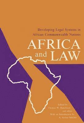 bokomslag Africa and the Law