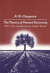 bokomslag Theory of Peasant Economy