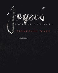 bokomslag Joyce's Book of the Dark