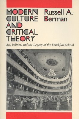 bokomslag Modern Culture and Critical Theory