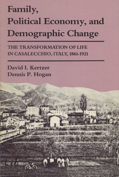 bokomslag Family, Political Economy and Demographic Change