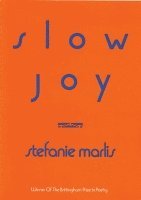 bokomslag Slow Joy