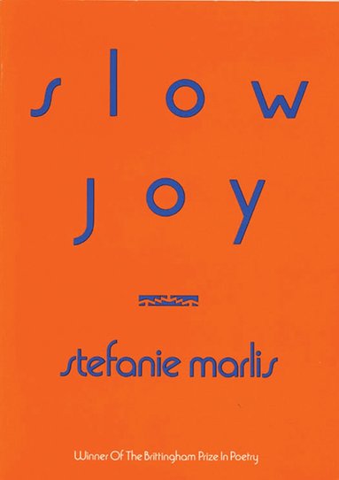 bokomslag Slow Joy