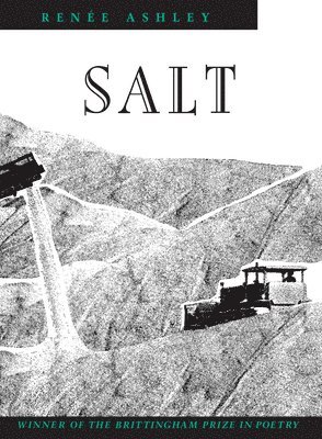 bokomslag Salt