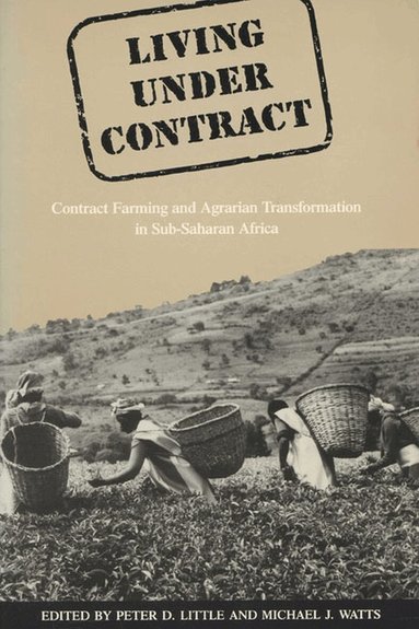 Peter D. Little, Peter D. Little, Michael Watts - Living Under Contract, Häftad