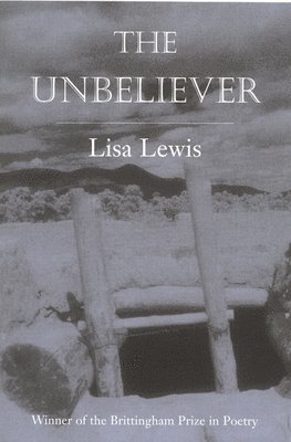 bokomslag Unbeliever