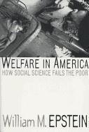 bokomslag Welfare in America