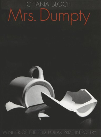 bokomslag Mrs. Dumpty