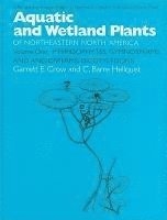 bokomslag Aquatic and Wetland Plants of Northeastern North America: v. 1 Pteridophytes, Gymnosperms and Angiosperms - Dicotyledons