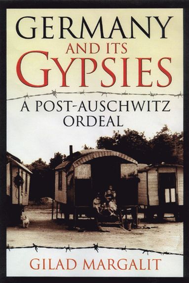 bokomslag Germany and Its Gypsies