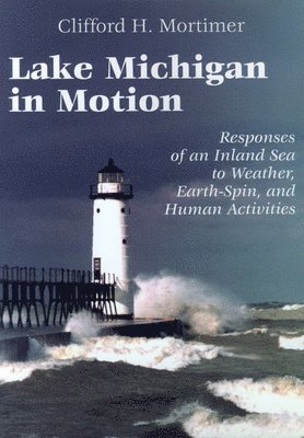 Lake Michigan in Motion 1