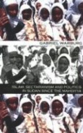 bokomslag Islam Sectarianism & Politics in the Sudan Sinc