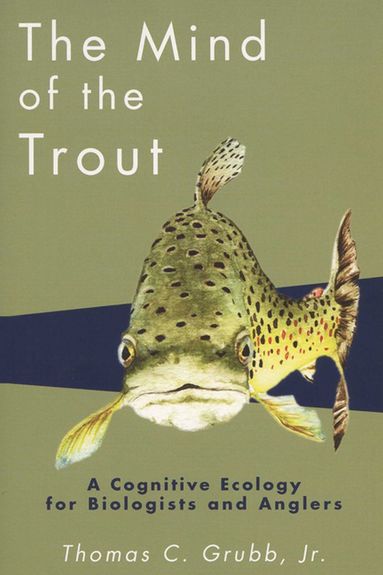 bokomslag Mind of the Trout