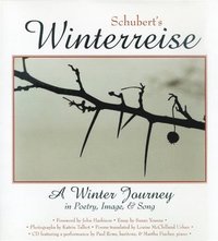 bokomslag Schubert's 'Winterreise