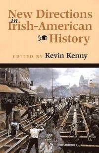 bokomslag New Directions in Irish-American History