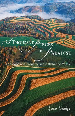 A Thousand Pieces of Paradise 1