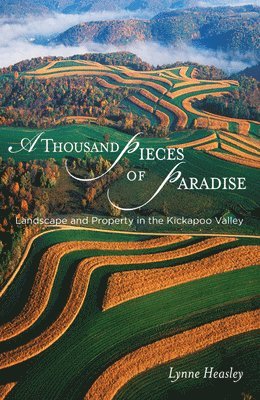 Lynne Heasley - Thousand Pieces of Paradise, Häftad