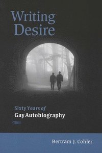 bokomslag Writing Desire