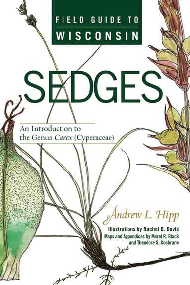 bokomslag Field Guide to Wisconsin Sedges