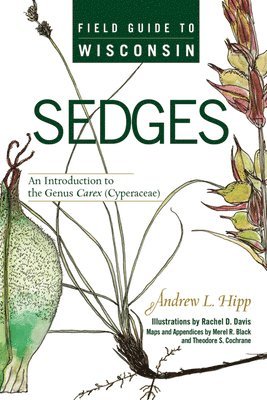 Field Guide to Wisconsin Sedges 1