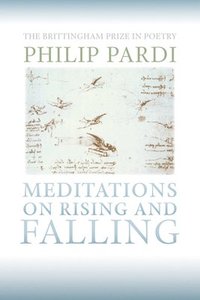 bokomslag Meditations on Rising and Falling