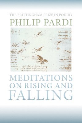 Meditations on Rising and Falling 1