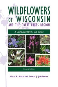 bokomslag Wildflowers of Wisconsin and the Great Lakes Region