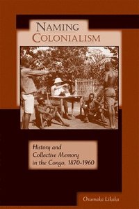 bokomslag Naming Colonialism
